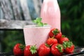 Glass of fresh strawberry shake, smoothie or milkshake and fresh strawberries on table. Healthy food and drink concept Royalty Free Stock Photo