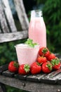 Glass of fresh strawberry shake, smoothie or milkshake and fresh strawberries on table. Healthy food and drink concept Royalty Free Stock Photo