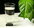 Glass of fresh water Royalty Free Stock Photo