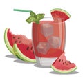 A glass of fresh watermelon juice. Vitamin refreshing cocktail with fruit. Illustration of alcoholic beverage for the