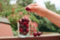 glass full of ripe cherries and female hand with one berry Royalty Free Stock Photo