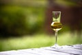 A glass of Gentian flavored Grappa Schnapps glasses in Cortina d`Ampezzo, Dolomites, Italy