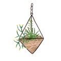 Glass geometric hanging florarium in modern scandinavian style. Plant terrarium with succulents composition. Mini garden