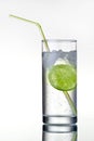 Glass of gin and tonic with ice and lime Royalty Free Stock Photo