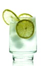 Glass of gin and tonic with ice lime slice Royalty Free Stock Photo