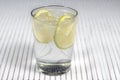 Glass of gin and tonic with several lemon slices