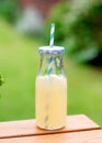 a glass of ginger lemonade with lemon and meat leaf in the garden