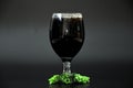 A glass glass of dark beer and fruits of ripe hops on a black background Royalty Free Stock Photo
