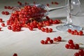 Glass glasses on thin legs with sprinkled fresh red currants
