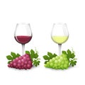 Glass glasses with white and red wine and bunches of grapes Royalty Free Stock Photo