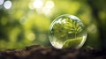 Glass globe ball, tree growing and green nature blur background. Eco earth day concept. Generative AI Royalty Free Stock Photo