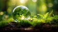 Glass globe in the forest with green grass and bokeh background Royalty Free Stock Photo