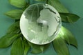 Glass globe on green leaf Royalty Free Stock Photo