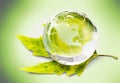 Glass globe and green leaf on blurred background Royalty Free Stock Photo