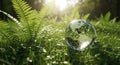 Glass globe reflecting lush green forest and sunlight in a grassy meadow Royalty Free Stock Photo