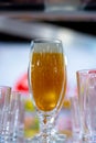 Glass goblet with beer on the table Royalty Free Stock Photo