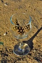 Glass goblet Royalty Free Stock Photo