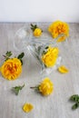 Glass goblet and yellow roses on the light board