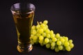 Glass with grape juice and a bunch of grapes on a black background.Copy space. Royalty Free Stock Photo