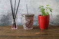 A glass of grape juice and parsley planted in a red flowerpot