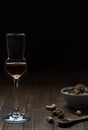 Glass of Grappa in backlights scene Royalty Free Stock Photo