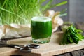 A glass of young green barley grass juice Royalty Free Stock Photo