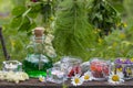 Glass green bottle with potion and dried herbs Royalty Free Stock Photo