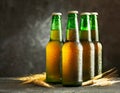 Glass green bottles of beer fresh on dark Royalty Free Stock Photo