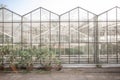 Glass greenhouse in the Botanial garden.