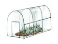 Glass greenhouse for fruits and vegetables. Watercolor hand drawing isolated on white background