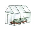 Glass greenhouse for fruits and vegetables. Watercolor hand drawing isolated on white background