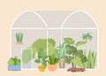 Glass greenhouse garden. Plants gardening, green tree and bushes. Succulents flower bed, botanical plantation, urban