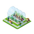 Glass Greenhouse Isometric Template