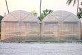 Glass greenhouse planting vegetable greenhouses in Thailand.