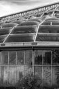 Glass Greenhouses