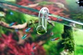 Glass hang-on CO2 aquarium drop checker