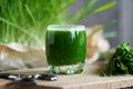 A glass of healthy barley grass juice, wtih fresh barleygrass in the background Royalty Free Stock Photo