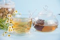 Glass of healthy herbal camomille tea. Naturopathy. Matricaria chamomilla Royalty Free Stock Photo
