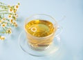 Glass of healthy herbal camomille tea. Naturopathy. Matricaria chamomilla Royalty Free Stock Photo