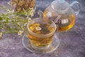 Glass of healthy herbal camomille tea. Naturopathy. Matricaria chamomilla. Royalty Free Stock Photo