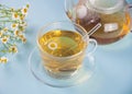 Glass of healthy herbal camomille tea. Naturopathy. Matricaria chamomilla Royalty Free Stock Photo