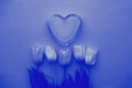 Glass heart and classic tulips on a classic blu background, fragile love background, valentines day concept, Pantone 2020