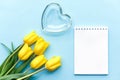 Glass heart and yellow tulips on a blu background, fragile love background, valentines day concept