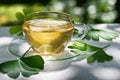 Glass of Herbaceous Tea with Ginkgo Royalty Free Stock Photo