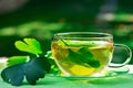 Glass of Herbaceous Tea with Ginkgo Royalty Free Stock Photo