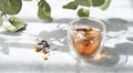 Glass of herbal tea on gray background with morning sunlight with shadow and plant branch. The concept of a diet and detox drink Royalty Free Stock Photo