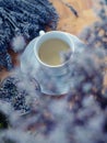 Cup of Herbal tea - Lavender tea - Blue. Lavandula angustifolia Royalty Free Stock Photo