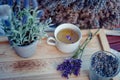 Cup of Herbal tea - Lavender tea - Blue. Lavandula angustifolia Royalty Free Stock Photo