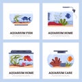 Glass home aquariums vector poster set, fishbowls with different fish, corals, seaweed and accessories, aquatic pet