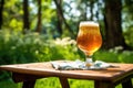 glass of homebrew beer on a picnic table